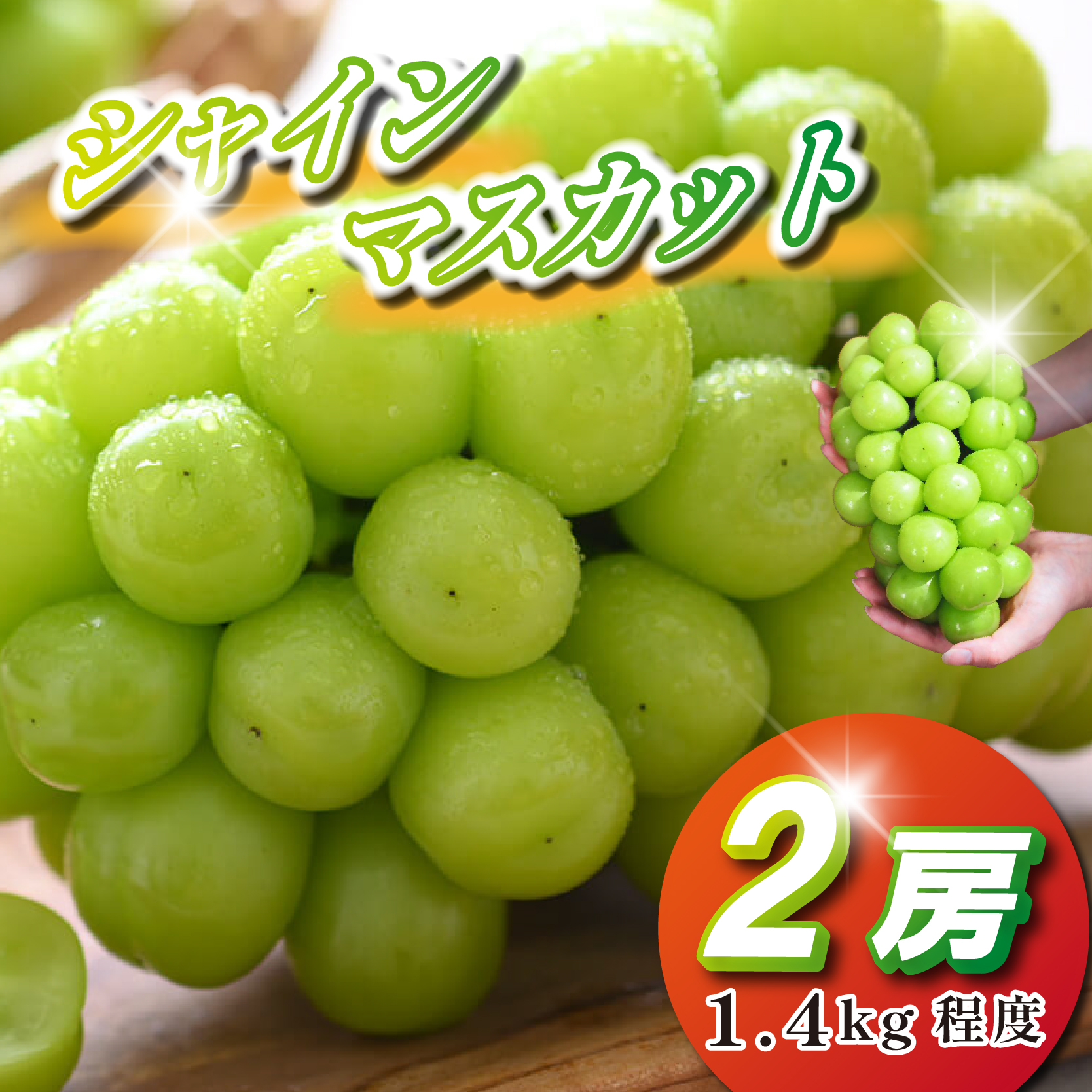 【観光農園直送!】シャインマスカット 2房 1.4kg程度(ぶどう ブドウ マスカット フルーツ 果物)宮崎県小林市19000果物・フルーツマスカット・ぶどう