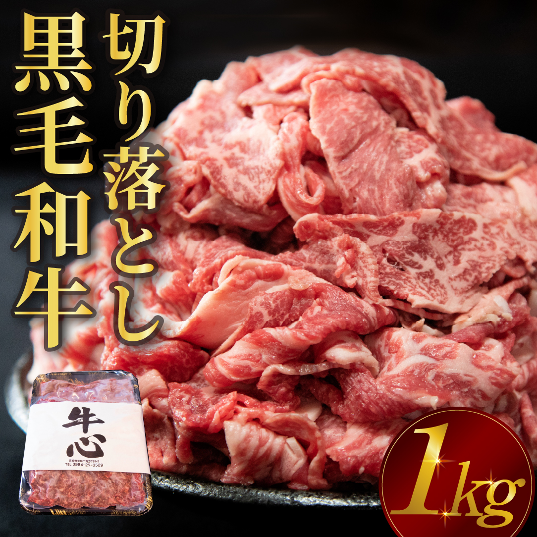 【人気精肉店からお届け】小林市産 黒毛和牛 切り落とし 1kg (牛肉 黒毛和牛 訳あり 切り落とし 小間切れ 赤身 小分け)宮崎県小林市16000肉牛肉