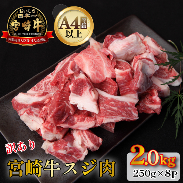 y󂠂EA4ȏz{苍ZXW 2kgx јa  a Ԑg XW  XW J[ ϕ{茧юs16000