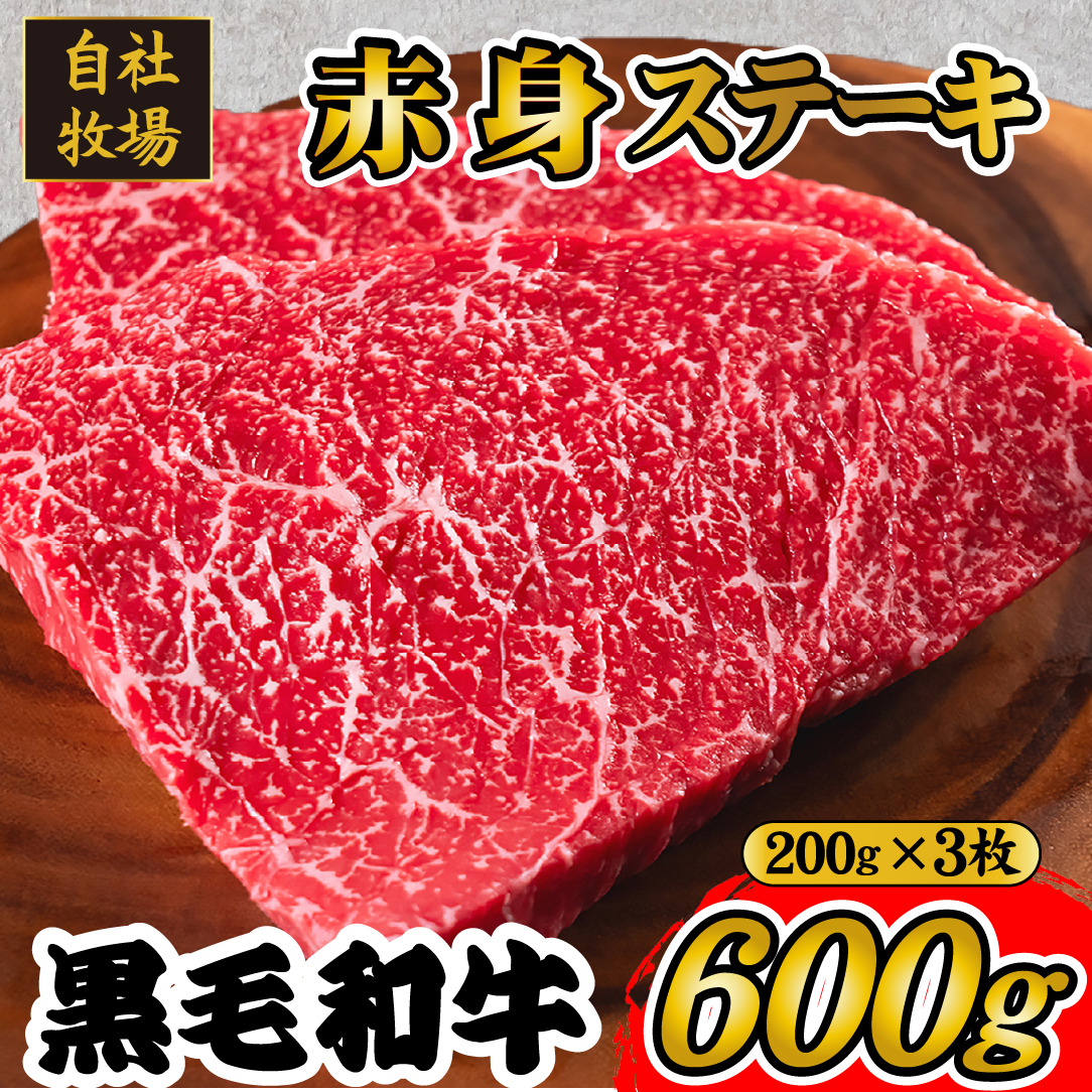 【自社牧場和牛】小林市産 黒毛和牛 赤身ステーキ 200g×3枚(牛肉 国産牛 黒毛和牛 和牛 赤身 ステーキ)宮崎県小林市14000肉牛肉