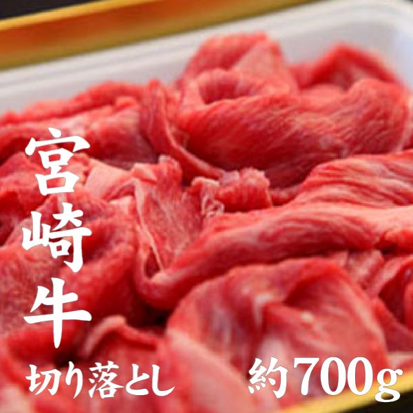 【A4等級以上】宮崎牛切り落とし 牛肉 黒毛和牛 宮崎牛 切り落とし 内閣総理大臣賞宮崎県小林市10000肉牛肉