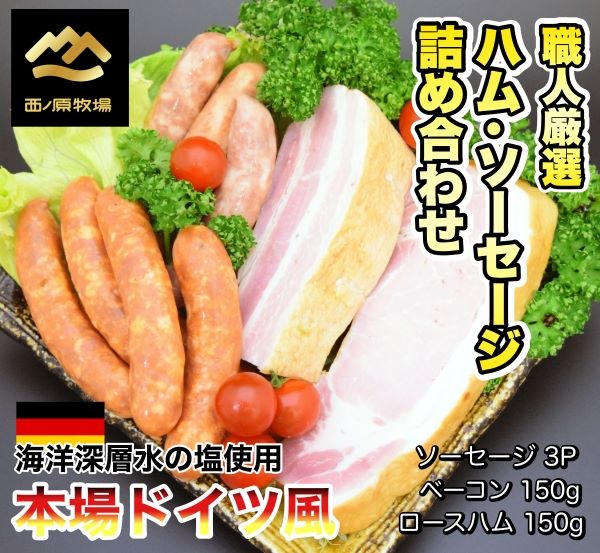 職人厳選・本場ドイツ風ハムソーセージ詰め合わせ宮崎県小林市10000肉加工肉(ハム・ソーセージ等)
