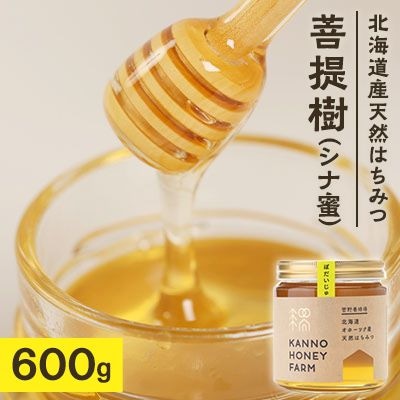 北海道産天然はちみつ 菩提樹 600g【配送不可地域:離島・沖縄】【1056685】北海道訓子府町19000鍋セット・総菜・加工食品ジャム・はちみつ