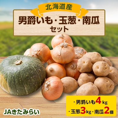 JAきたみらい「男爵芋・玉葱・南瓜」セット【配送不可地域:離島・沖縄】【1292804】北海道訓子府町15000野菜・きのこ玉ねぎ・ねぎ