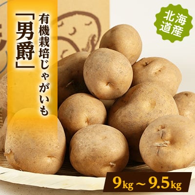 有機栽培じゃがいも「男爵」 9kg〜9.5kg【配送不可地域:離島・沖縄】【1334700】北海道訓子府町16000野菜・きのこじゃがいも・イモ類