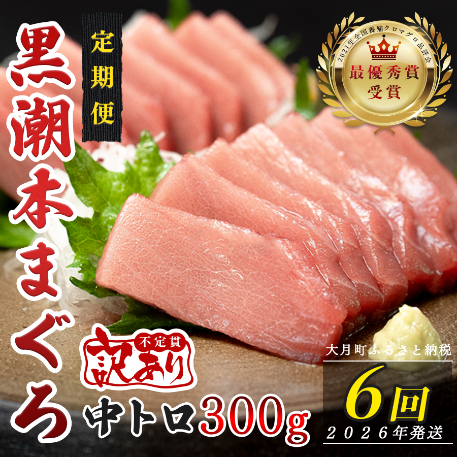 【定期便 6回】高知県産 本マグロ 中トロ 養殖 2柵 300g (不定貫)高知県大月町78000魚介・海産物鮮魚