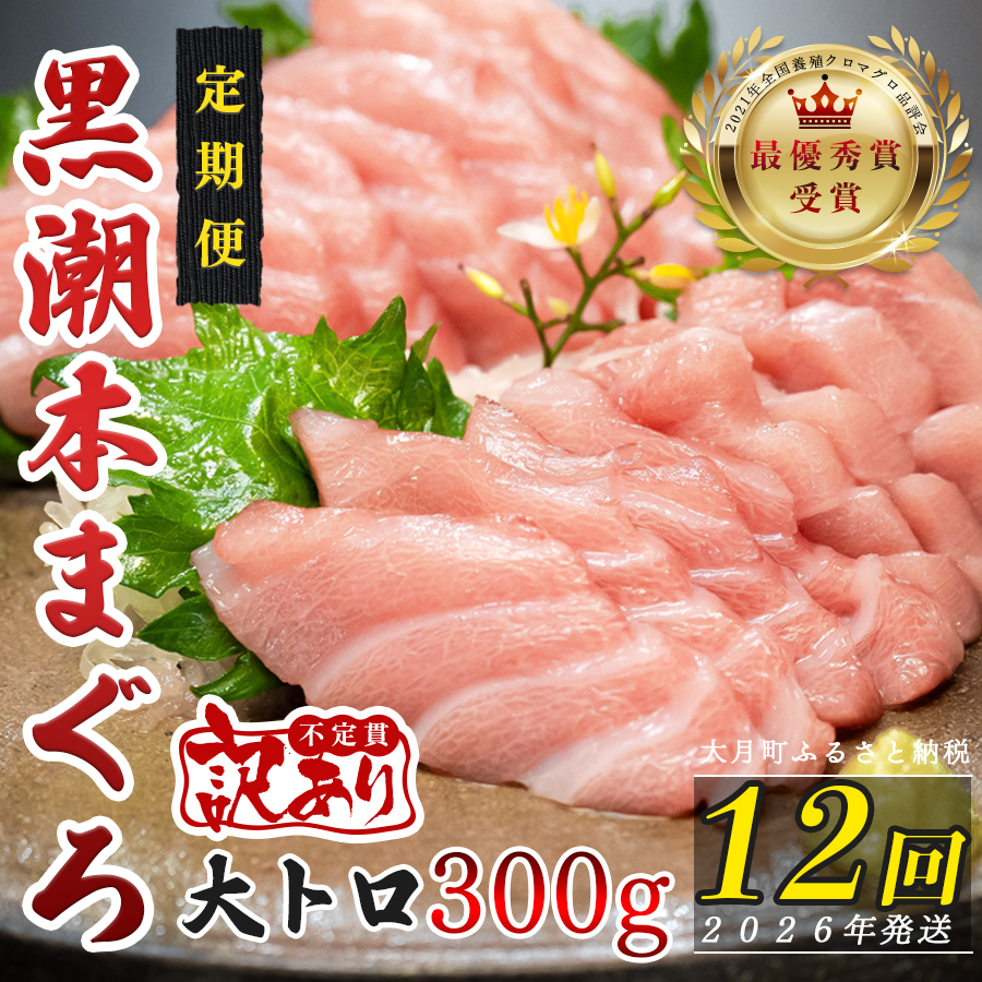 【定期便 12回】高知県産 本マグロ 大トロ 養殖 2柵 300g (不定貫)高知県大月町180000魚介・海産物鮮魚