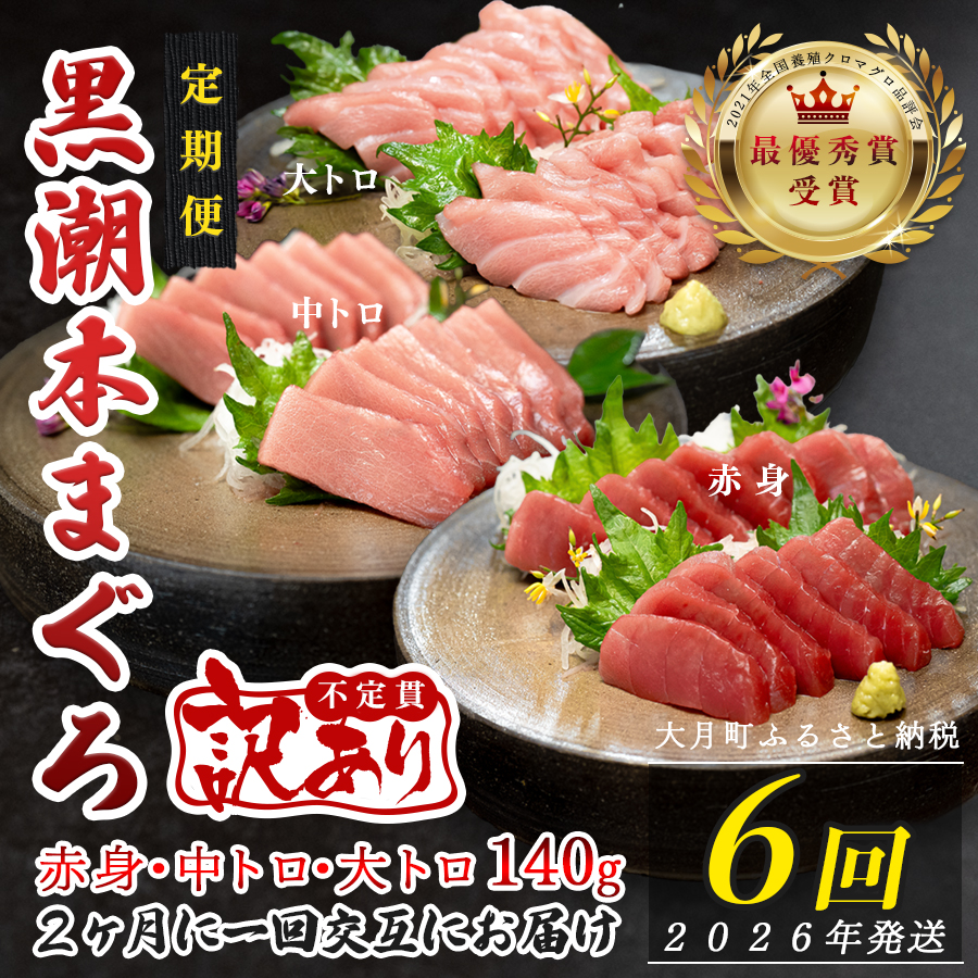 【定期便 6回】高知県産 本マグロ 大トロ・中トロ・赤身 (不定貫) 月替わり高知県大月町75000魚介・海産物鮮魚
