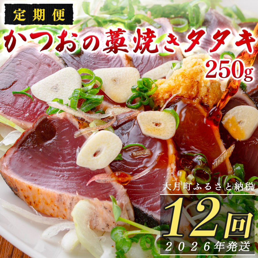 【定期便12回】本場 高知 かつおの藁焼きたたき 250g以上 小分け 真空 パック|新鮮 かつお カツオ 鰹 カツオのたたき かつおたたき 鰹のたたき かつおタタキ 個包装 冷凍 家飲み ごちそう ギ