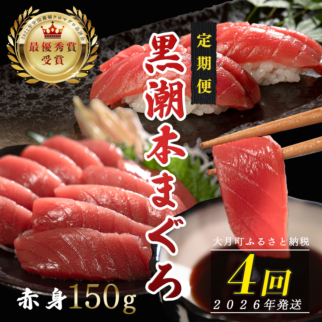 【定期便4回】日本一!黒潮本まぐろ 赤身高知県大月町35000魚介・海産物