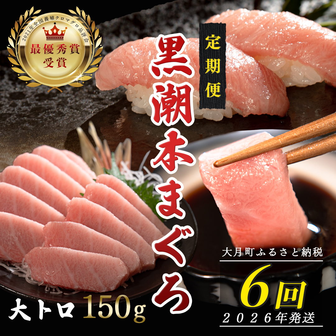 【定期便6回】日本一!黒潮本まぐろ 大トロ高知県大月町65000魚介・海産物