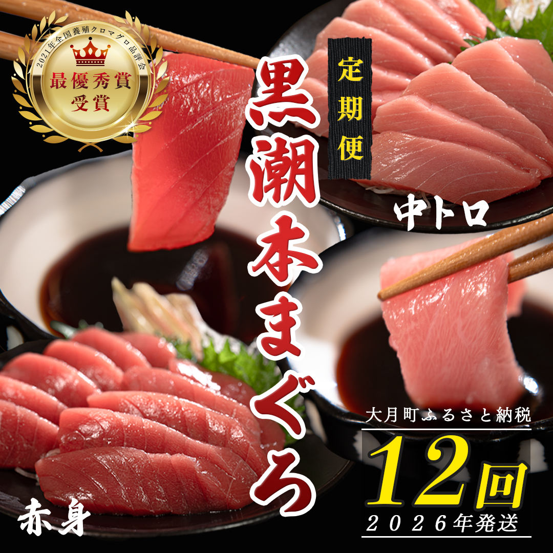 【定期便12回】日本一!黒潮本まぐろ 中トロ・赤身高知県大月町174000魚介・海産物