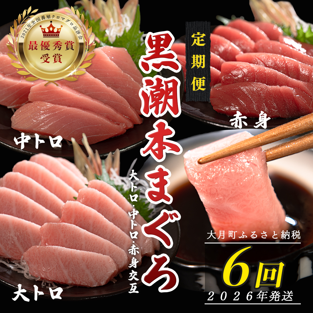 【定期便6回】日本一!黒潮本まぐろ 大トロ・中トロ・赤身(交互)高知県大月町90000魚介・海産物