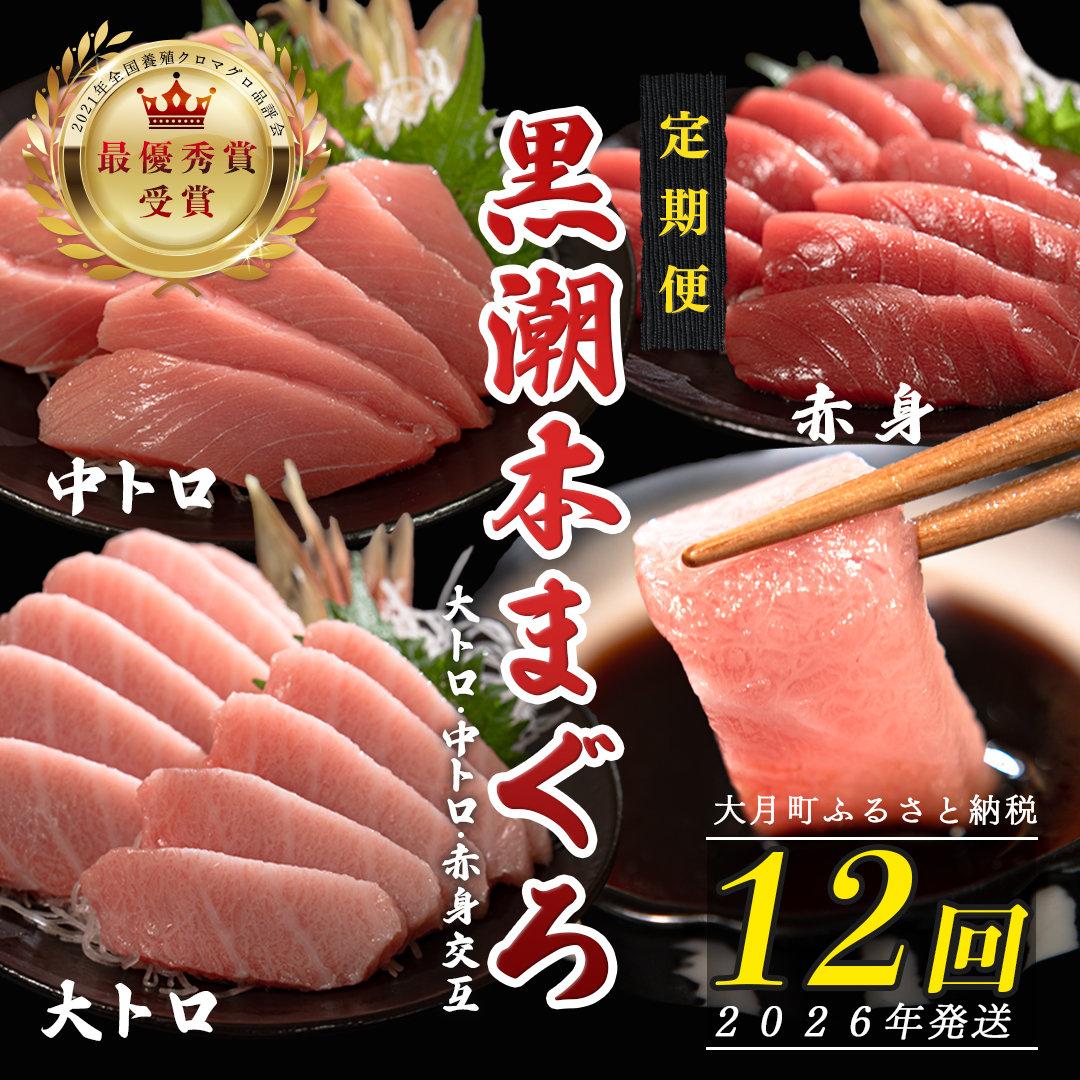 【定期便12回】日本一!黒潮本まぐろ 大トロ・中トロ・赤身(交互)高知県大月町175000魚介・海産物
