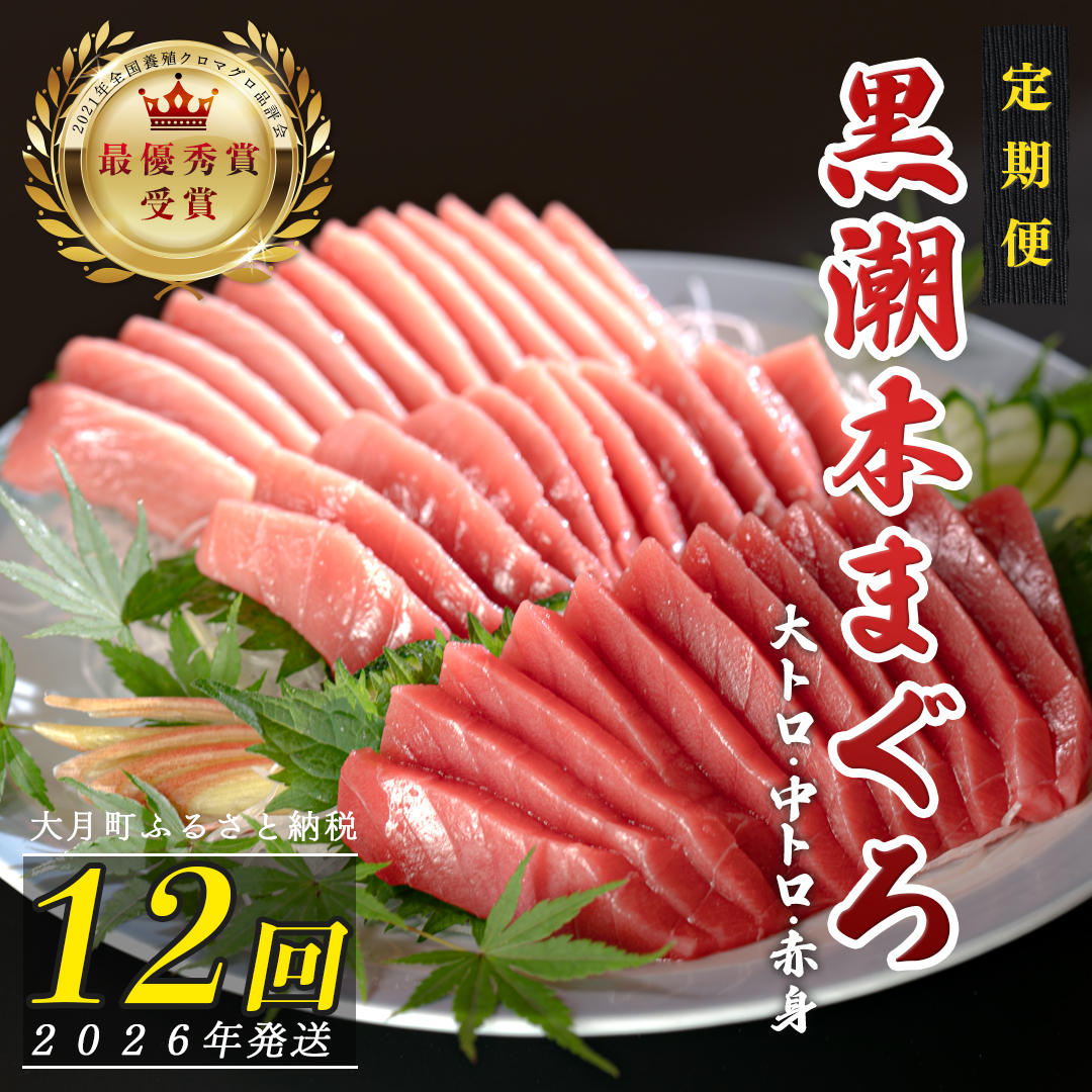 【定期便12回】日本一!黒潮本まぐろ 大トロ・中トロ・赤身 3種セット高知県大月町240000魚介・海産物