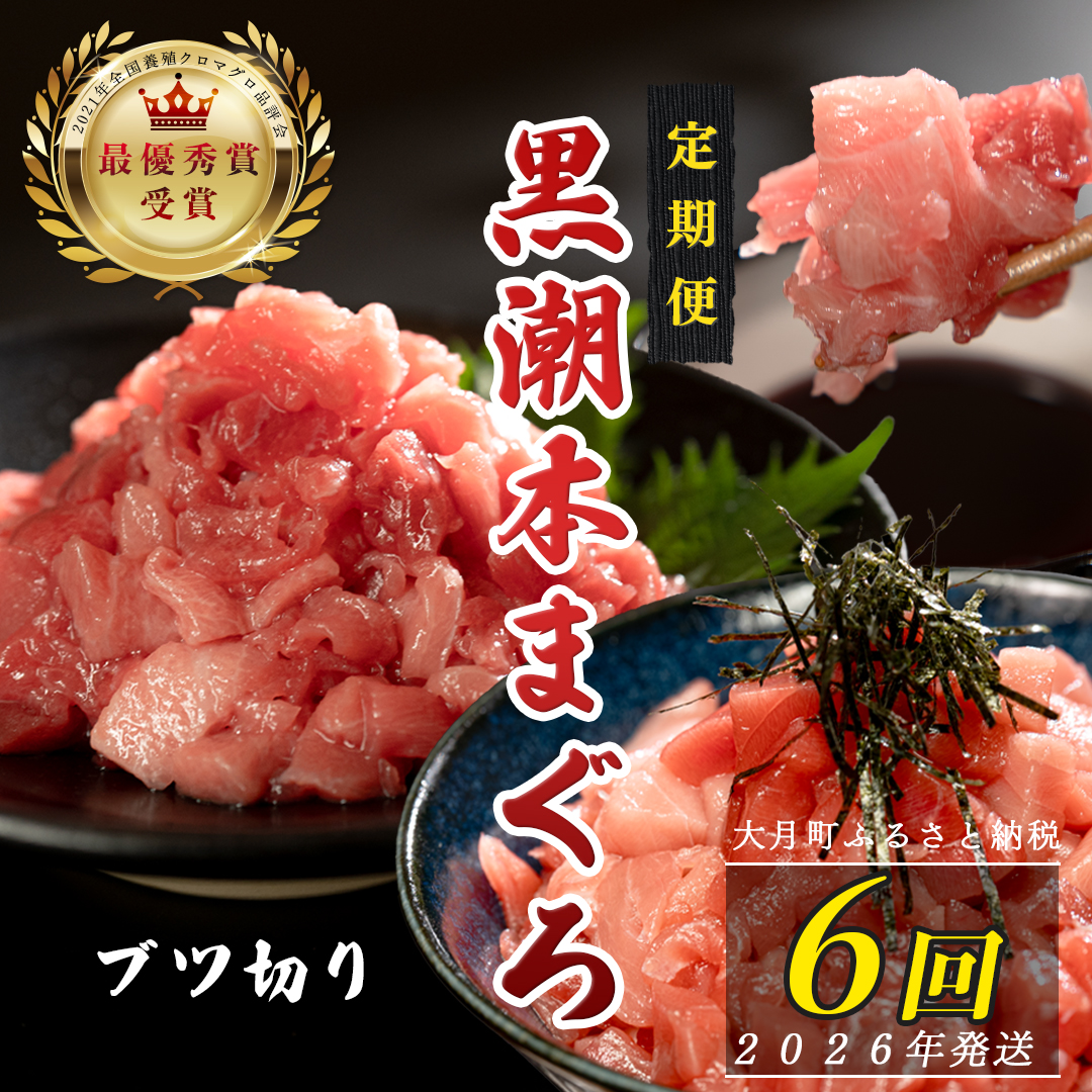 【定期便6回】日本一!黒潮本まぐろ ブツ切り高知県大月町54000魚介・海産物