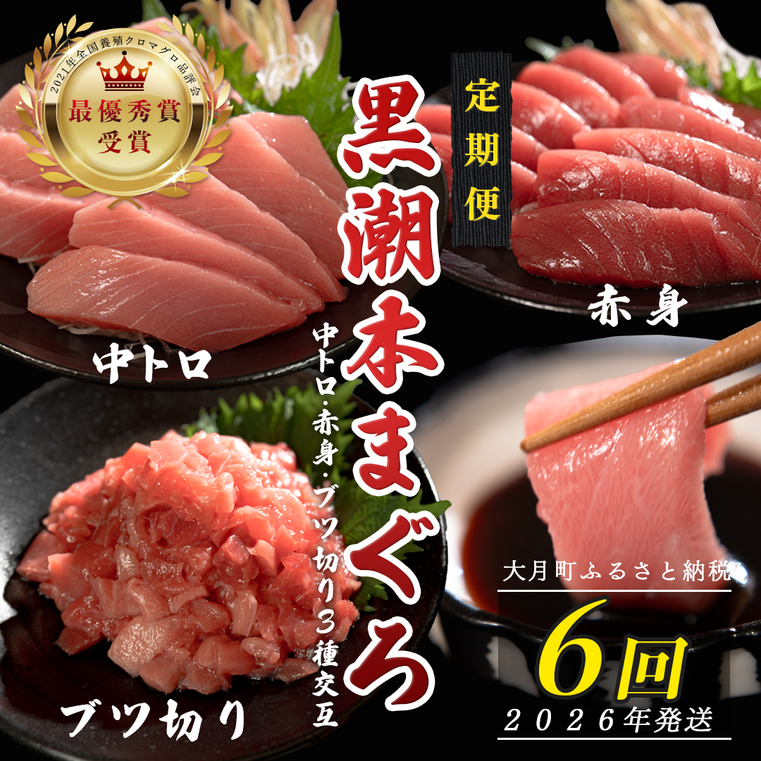 【定期便6回】日本一!黒潮本まぐろ 中トロ・赤身・ブツ切り(3種交互)高知県大月町55000魚介・海産物