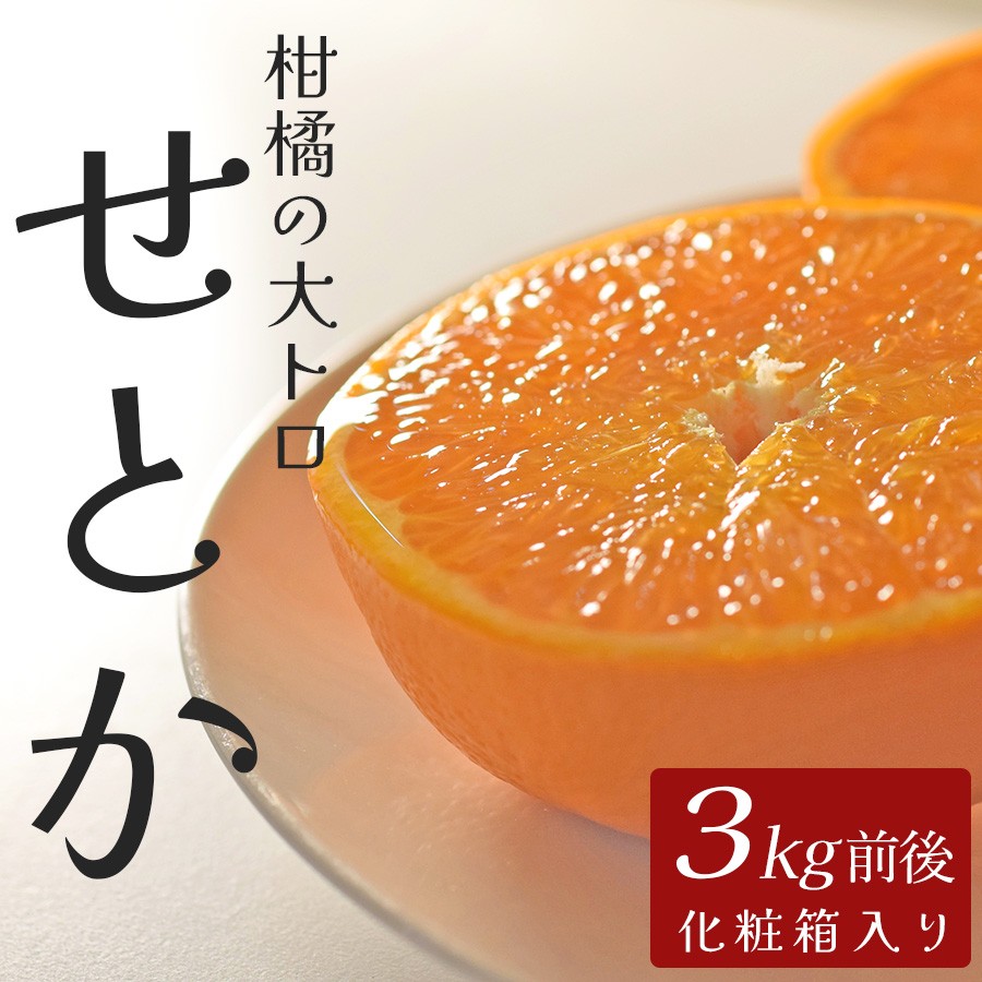 Ƃ 3kg p mY nEX͔|bnEX݂ Â Z W[V[ L  k k̑g ϔ ʕ t[c v~A Y 匎 lC   