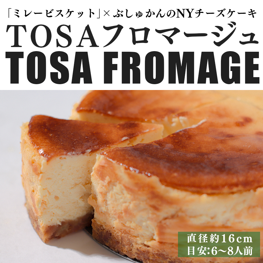 TOSAt}[W(~[rXPbg×l\ԂォNY`[YP[L)bz[ `[Y `[YP[L Z ~[  XC[c Ԃォ k Y fU[g m 匎 Mt