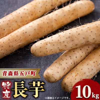 【青森県五戸町特産】長芋 10kg【配送不可地域:離島・沖縄】【1017943】青森県五戸町23000野菜・きのこじゃがいも・イモ類