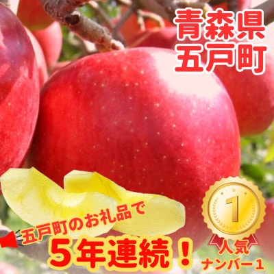 【青森ごのへ産】味に自信 りんご  サンふじ 約5kg【配送不可地域:離島・沖縄・中国・四国・九州】【1034082】青森県五戸町15000果物・フルーツりんご・梨