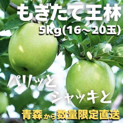 【青森ごのへ産】 パリッと、シャキッとした王林 約5kg(16〜20玉)【配送不可地域:離島・沖縄・中国・四国・九州】【1051220】青森県五戸町12000果物・フルーツりんご・梨