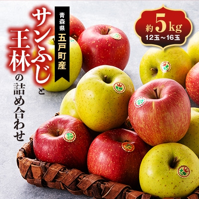 五戸のサンふじと王林の詰め合わせ 約5kg【配送不可地域:離島・沖縄・九州】【1358683】青森県五戸町14000果物・フルーツりんご・梨
