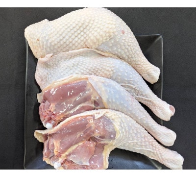 青森シャモロック 骨付きもも肉4本セット(2本入×2パック)冷凍【配送不可地域:離島・沖縄】【1499844】青森県五戸町23500肉鶏肉