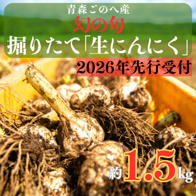 幻の旬!青森ごのへ町産 掘りたて土付き「生」にんにく Lサイズ以上 約1.5kg【配送不可地域:離島・沖縄】【1599840】青森県五戸町13000野菜・きのこ大根・ニンジン・根菜類