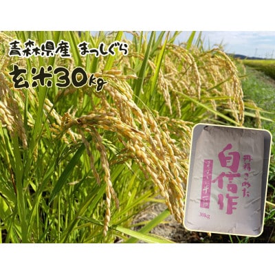 【令和7年産】まっしぐら 玄米30kg【配送不可地域:離島・沖縄】【1676761】青森県五戸町65000米・パン玄米・雑穀米・もち米・餅