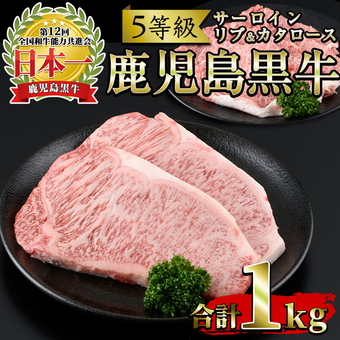 No.347 <肉質等級5等級>(E-301)鹿児島黒牛サーロインステーキ2枚・すきやきセット(計1kg)国産 牛肉 黒毛 和牛 スライス リブロース 肩ロース カタ しゃぶしゃぶ【さつま日置農協】鹿児島県日