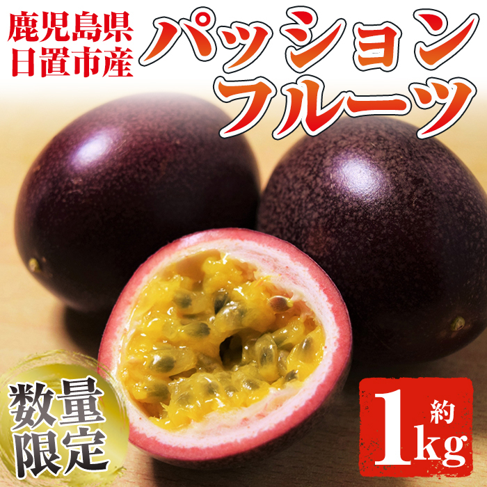 No.503 <数量・期間限定>鹿児島県日置市産!パッションフルーツ(約1kg) 【はまうえ果樹園】鹿児島県日置市11000果物・フルーツその他 果物・フルーツ