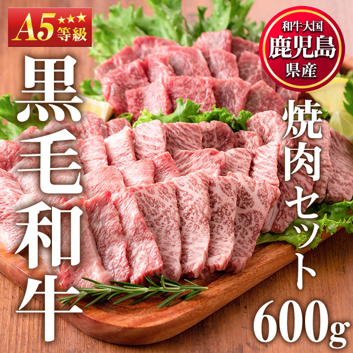 No.507-03 <A5等級>鹿児島県産黒毛和牛焼肉セット(計600g・霜降り焼肉200g×2P、赤身焼肉200g×1P)【カミチク】鹿児島県日置市16500肉牛肉