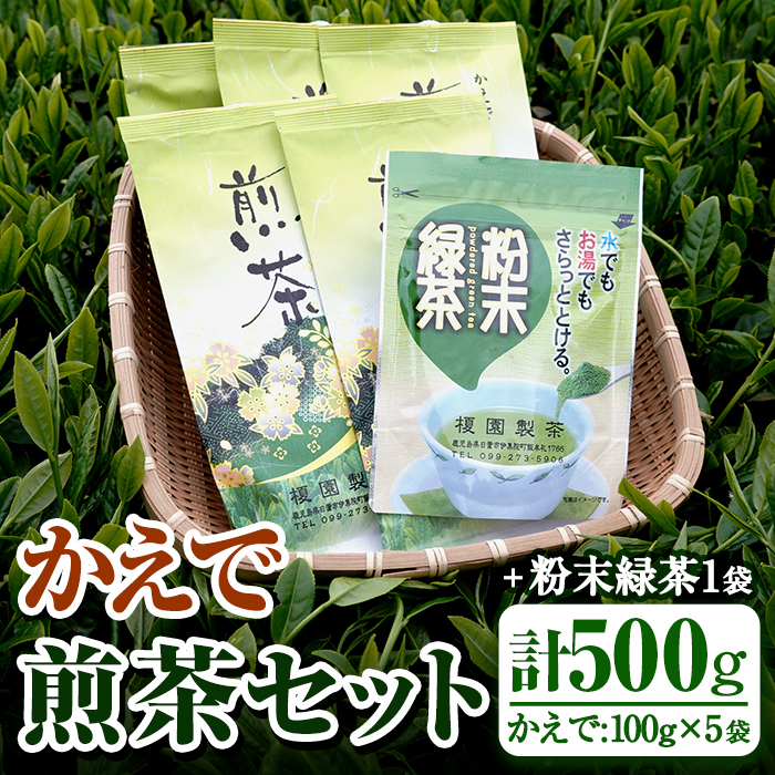 No.616 鹿児島県産の煎茶セット「かえで」かえで(100g×5袋)と粉末緑茶(1袋)【世献 榎園製茶】鹿児島県日置市11000お茶・飲料お茶