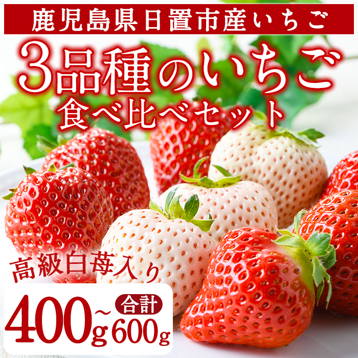 No.778 <先行予約受付中!>3品種いちごの食べ比べセット(約400g〜600g)国産 九州産 鹿児島 日置市 生鮮食品 苺 イチゴ 果物 フルーツ 大粒 食べ比べ【ままりあ農園】鹿児島県日置市12000果物・