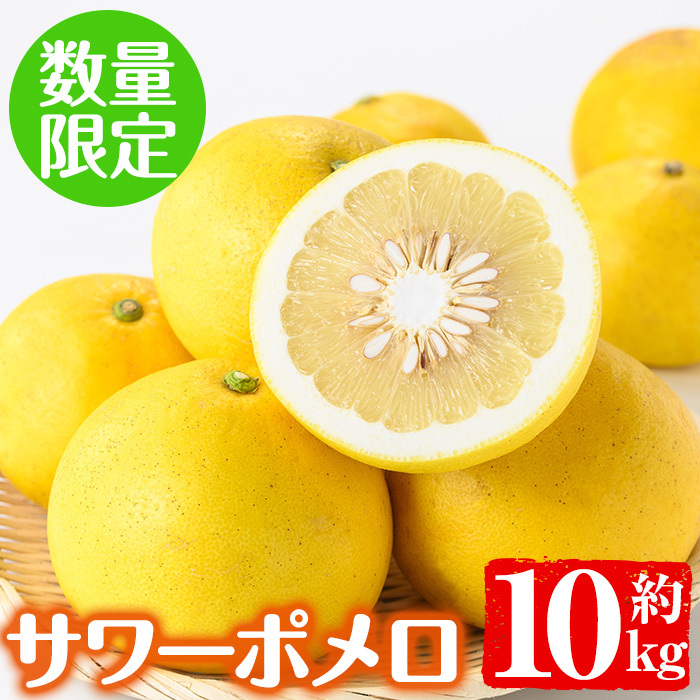 No.625 <数量限定>サワーポメロ(約10kg) 国産 九州産 果物 柑橘 フルーツ みかん 文旦 ボンタン【大庭商店】鹿児島県日置市11000果物・フルーツみかん・柑橘類