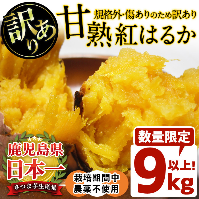 No.892 <訳あり・規格外>栽培期間中農薬不使用 甘熟さつまいも(生)紅はるか9kg以上!(S〜4Lサイズ 混在) 焼き芋 スイーツ 熟成 サイズ不揃い 野菜 先行予約 【上原農園】鹿児島県日置市11000