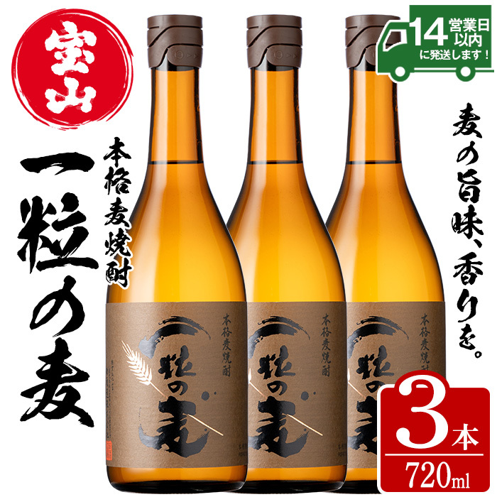 No.913 一粒の麦(720ml×3本)焼酎 麦焼酎 酒 アルコール 麦 家飲み 宅飲み 大麦 大麦麹 常温 常温保存【西酒造】鹿児島県日置市12000酒・アルコール焼酎