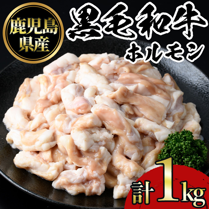 No.1105 鹿児島黒毛和牛ホルモン(250g×4P・計1kg) 国産 九州産 鹿児島県産 牛肉 黒毛和牛 和牛 お肉 おかず 焼き肉 ホルモン 小腸 冷凍【NBフード】鹿児島県日置市14000肉