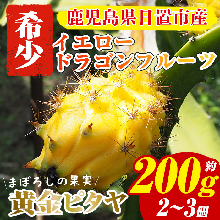 No.481 ʌ聄YI s^(CG[hSt[c)(v200gE2`3) y͂܂ʎzus12000ʕEt[c