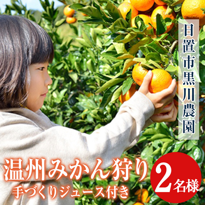 No.1251 s\tB݂(2)lC̃W[Xt(2{) sm ݂ ̌ ʕ ʎ t[c k ݂ W[X ~JW[X Ԍ y_z