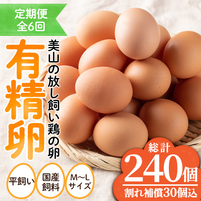 No.781 ցES6񁄎YL(40×6A) ۏؕt yR܂zus54000Eii{AG{j