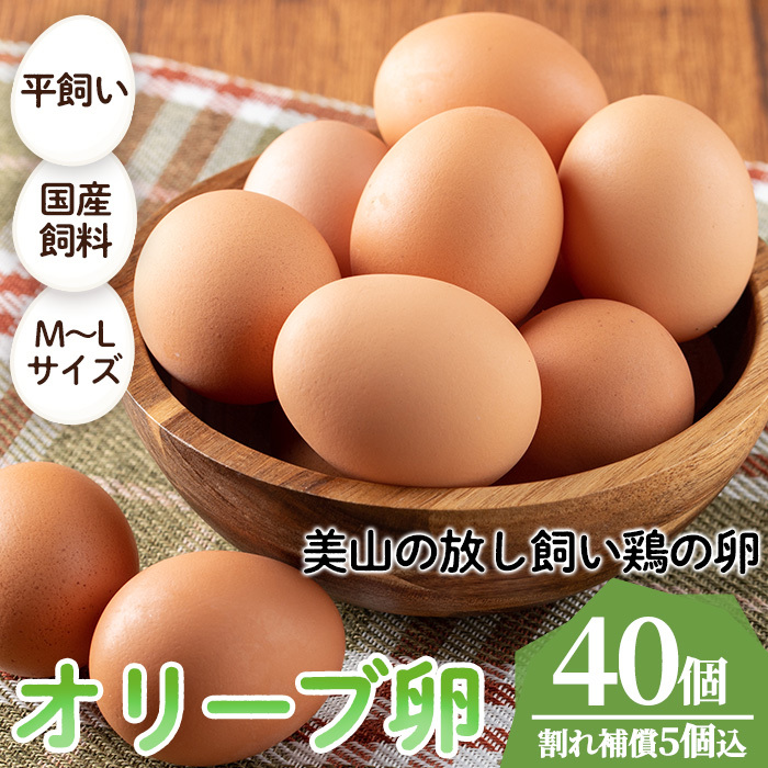 No.780 鹿児島県産美山オリーブ卵(40個) 【美山たまご王国】鹿児島県日置市12000卵・乳製品卵(鶏、烏骨鶏等)
