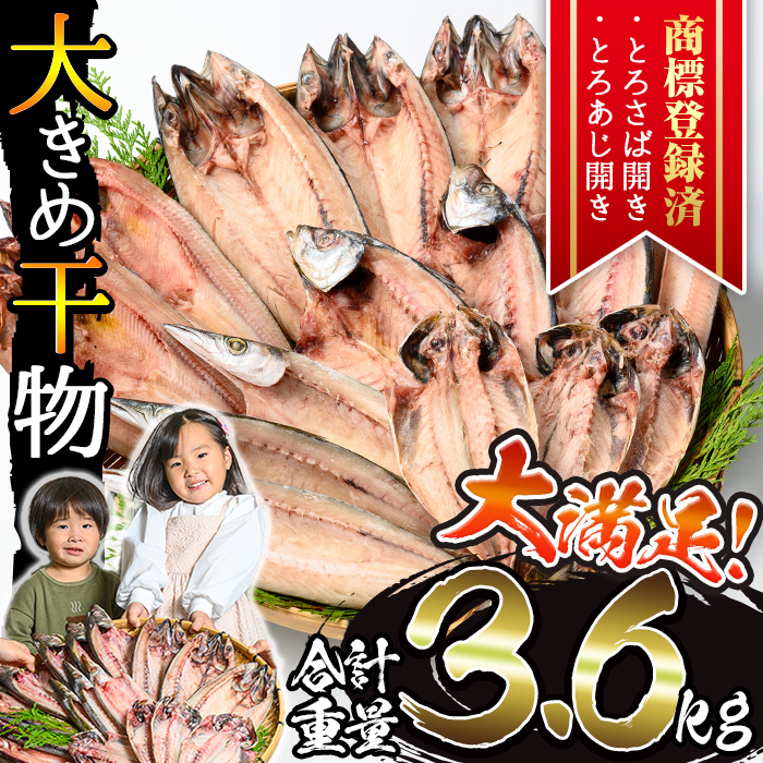 No.406-B 大きめ干物詰合せ<合計3.6kg> 干物 セット 詰め合わせ ひもの 魚介類 魚 おかず おつまみ お楽しみ 【みのだ食品】鹿児島県日置市18000魚介・海産物その他 魚介・海産物