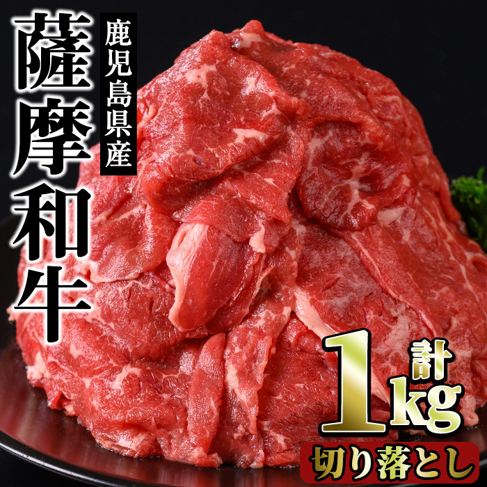 No.1142-B 薩摩和牛切り落とし(計1kg・500g×2P) 【さつま屋産業】鹿児島県日置市16000肉牛肉