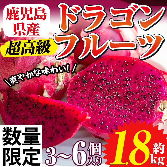 No.1145 《数量・期間限定》鹿児島県産!ドラゴンフルーツ(1.8kg・3個〜6個) 産地直送 スイーツ デザート 果実 果物 フルーツ 栽培期間中農薬不使用 贈り物 贈答品【はまうえ果樹園】鹿児島県