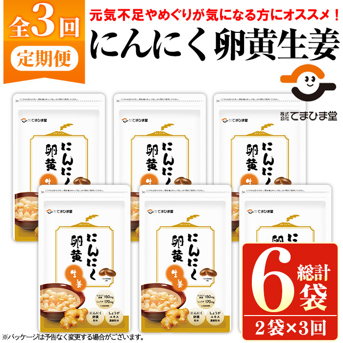 No.1285-A <定期便・全3回(隔月)>てまひま にんにく卵黄生姜(1袋 62粒入り・2袋×3回)  鹿児島 日置市 ニンニク 健康食品 カプセル 生姜 サプリメント 定期便 【てまひま堂】鹿児島県日置市40000