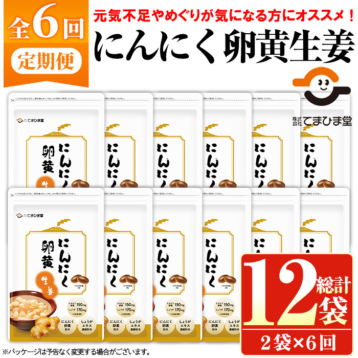 No.1285-B <定期便・全6回(隔月)>てまひま にんにく卵黄生姜(1袋 62粒入り・2袋×6回)  鹿児島 日置市 ニンニク 健康食品 カプセル 生姜 サプリメント 定期便 【てまひま堂】鹿児島県日置市80000