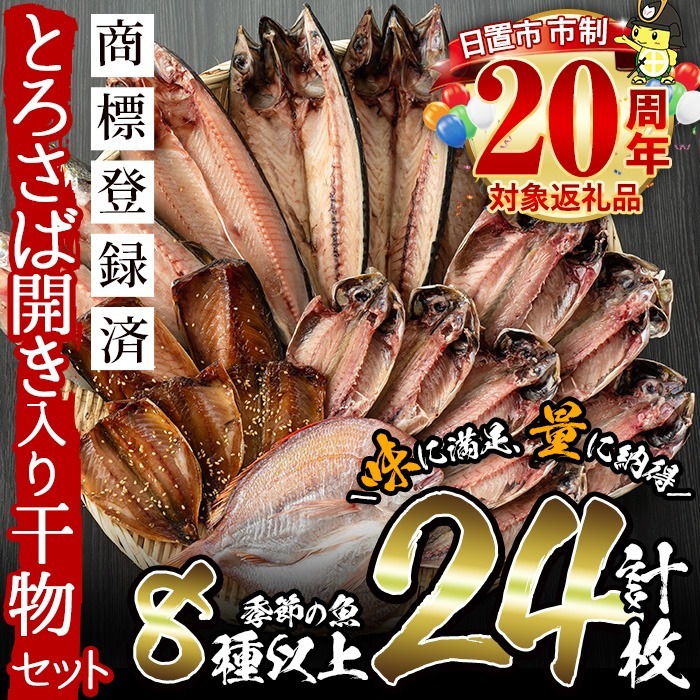No.203-A 旬の厳選!干物詰合せ(計24枚) 干物 旬 アジ サバ トビウオ かます みりん干し タイ 詰め合わせ セット 魚介類【みのだ食品】鹿児島県日置市13000魚介・海産物干物