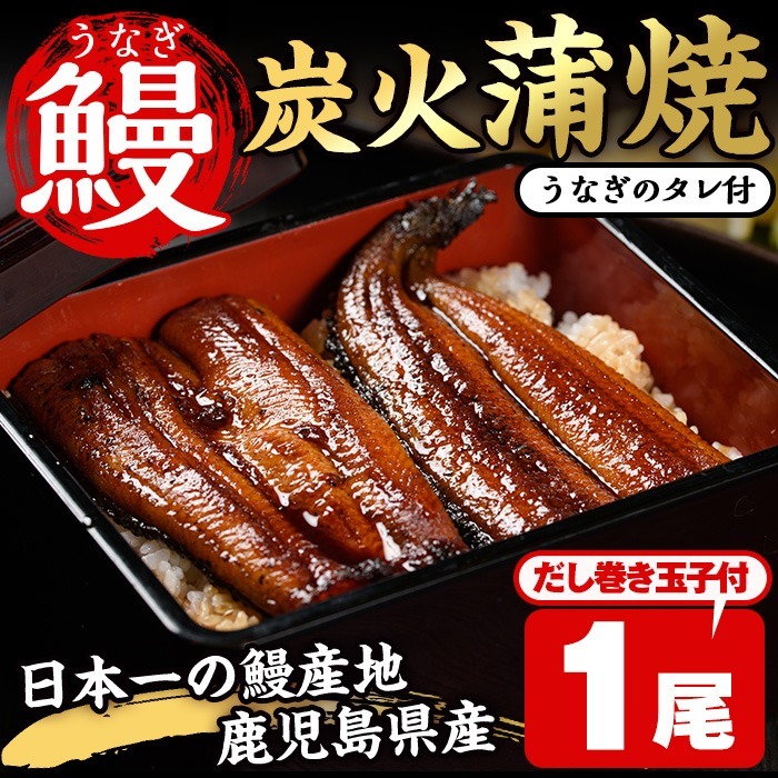 No.310 鹿児島県産うなぎの炭火蒲焼(1尾・タレ付)と自慢の出汁巻き卵1本付! 国産 九州産 鰻 ウナギ うな重 うな丼 蒲焼 卵焼き 出汁巻き 炭火焼 おかず お土産 セット 冷凍【家むら】鹿児島